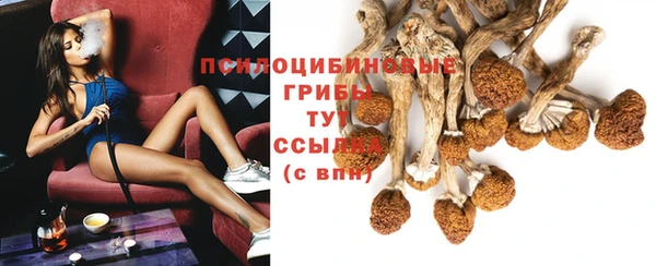 герыч Абаза